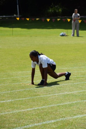 DSC_0448.JPG DSC_0448.JPG