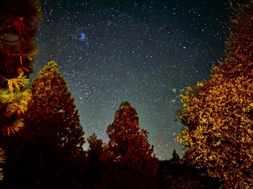 Euddogwy Dreams 1.jpeg