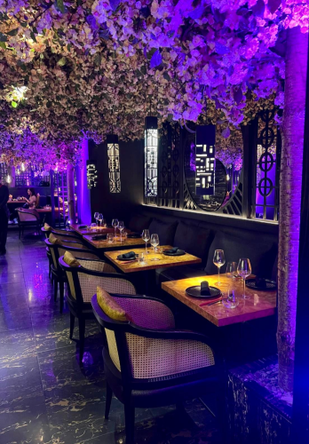 Euddogwy Purple 2.png