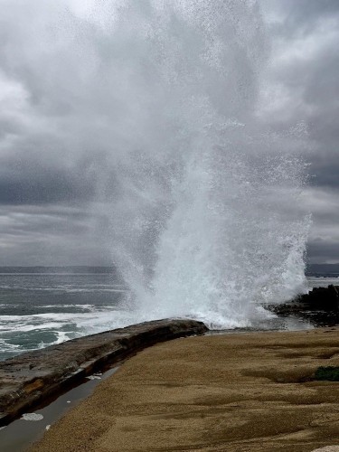 Euddogwy Rage 2.jpeg