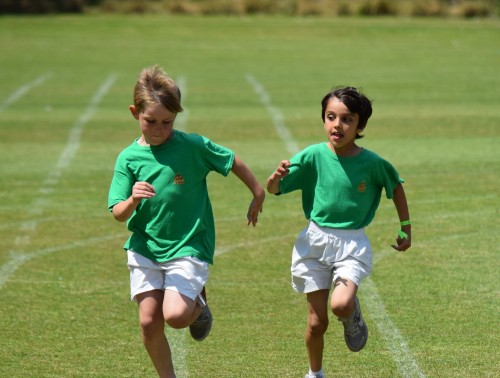 Junior Sports Day