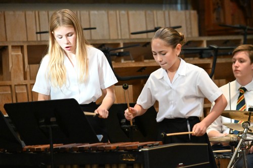 Senior Summer Concert