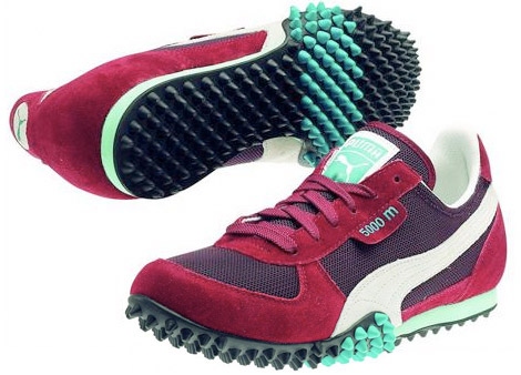 Gould Cup Cross Country