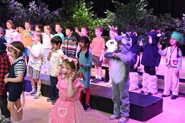 Fairy Tales in the Forest!