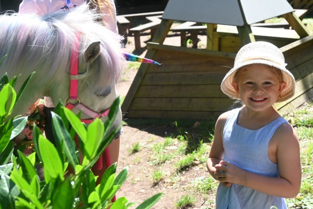 Summer Fayre Success