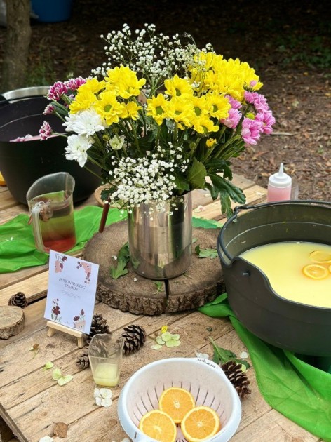 Little Explorers at Insole Court's Teddy Bears Picnic