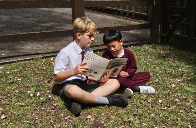 Reading Picnic