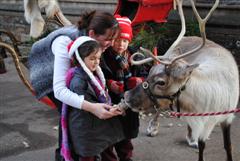 Nursery and Reception meet Santa's reindeer