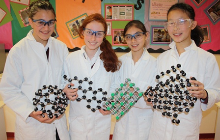 Year 8s secure Salters' Chemistry Festival victory