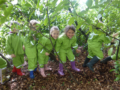 Forest School launched