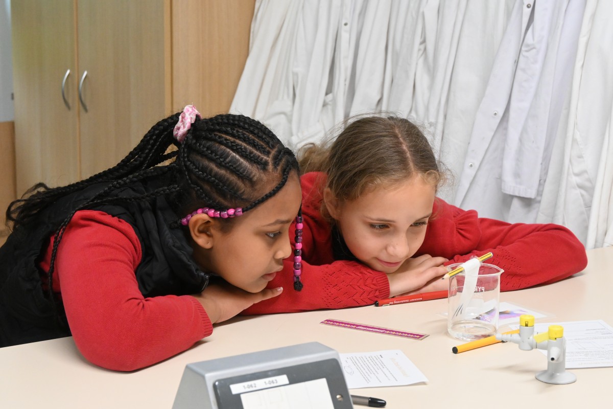 Discovery Day