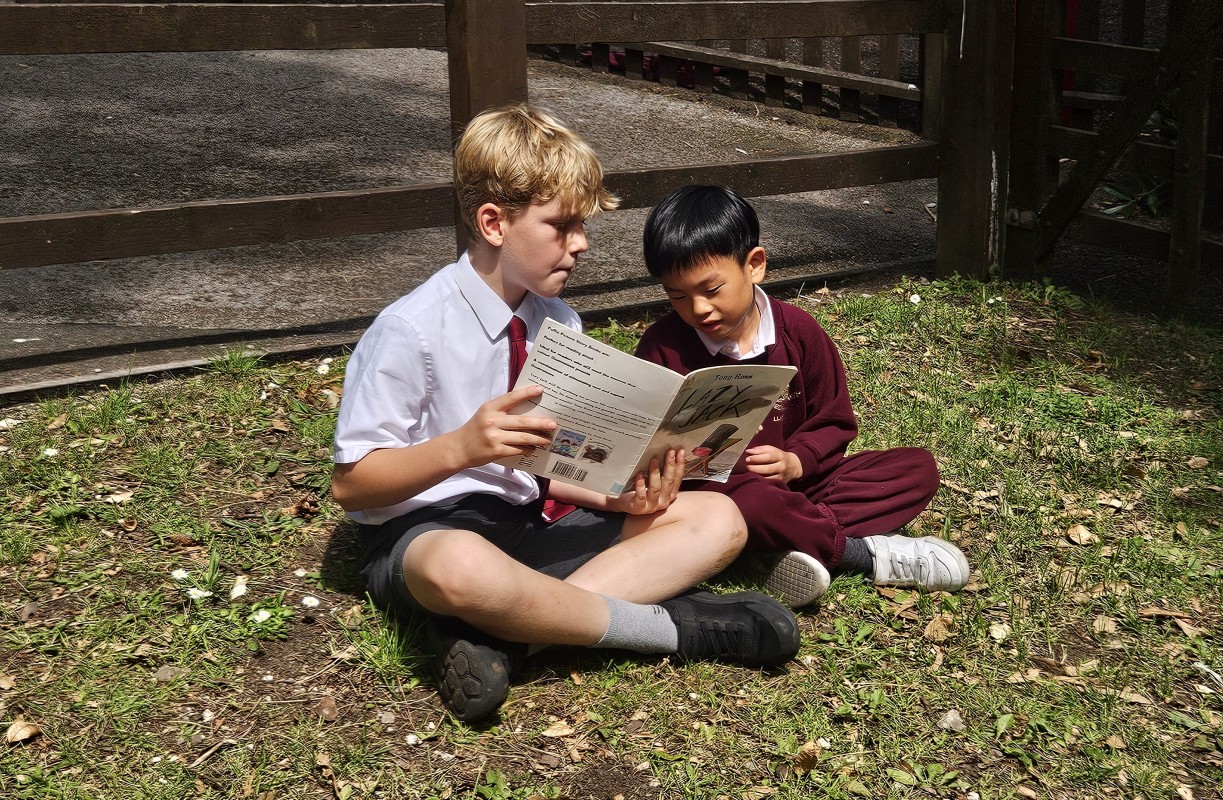 Reading Picnic