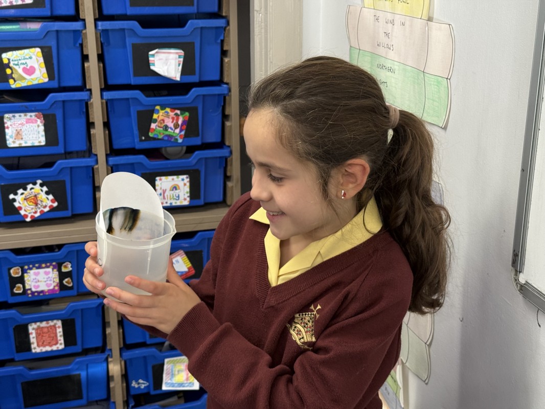 Why Do Leaves Change Colour in Autumn?